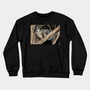 Possum Crewneck Sweatshirt